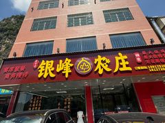 -银峰农庄·特色烧鸡·鲜无花果浸鸡