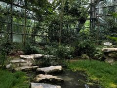 -南山植物园