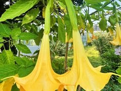 -国家植物园南园