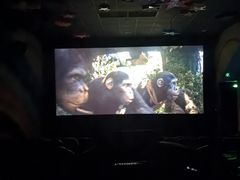 -天幕新彩云国际影城(激光巨幕店)