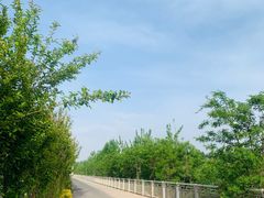 -潇河湿地公园