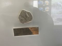 -上海昆虫博物馆