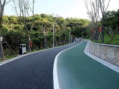 -飞凤山奥体公园