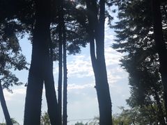 -南诏风情岛