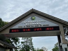 -中国大熊猫保护研究中心雅安碧峰峡基地