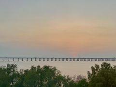 -宝安西湾红树林湿地公园