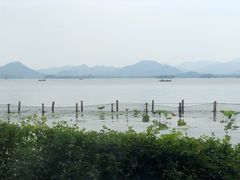 -湖畔居茶楼(湖滨店)