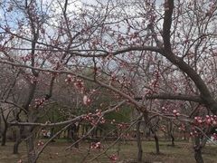 -长春公园(普阳街道)