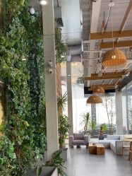 -七色田儿童摄影(静安店)