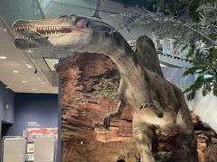 -湖南省地质博物馆