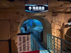 -大连圣亚海洋世界