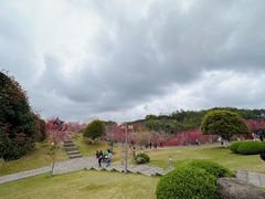 -重庆园博园