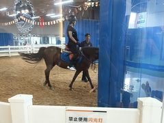 -骑乐马术(广州奥体优托邦中心)