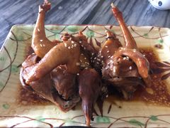 -鸽鸟轩(石岐店)