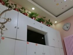 -香薇妮丝·定制减肥·身材管理