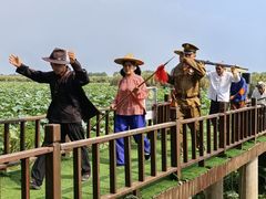 -洪湖生态旅游区