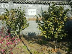 -梦溪园(中营街)