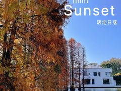 -中国科学院华南植物园