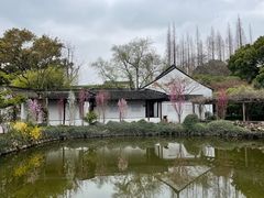 -上海醉白池公园