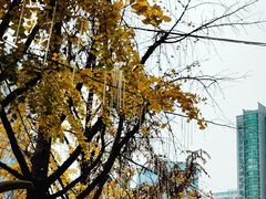 -观音桥步行街
