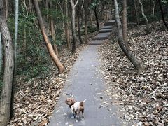 -惠山国家森林公园