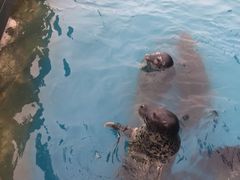 -华夏文旅海洋公园