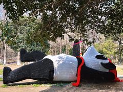 -宝岩生态观光园