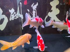 -小城外婆肴私房菜.家宴聚集点(圆明园颐和园·清河上地店)