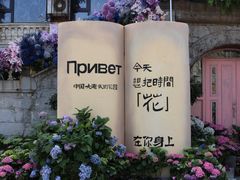 -俄罗斯风情街