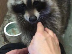 -藦茜花园宠物主题亲子互动体验馆(国顺东路店)