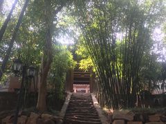 -五凤溪古镇