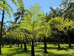 -中国科学院西双版纳热带植物园