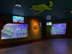 -太平洋海底世界