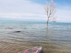 -青海湖国家重点风景名胜区