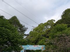 -广州市帽峰山景区