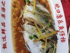 -蛇口康乐快餐鱼仔档(翠苑小区店)