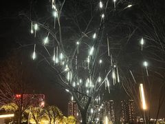 -映月湖中央公园