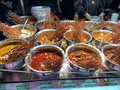 -四川农业大学(雅安校区)