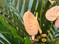 -南堂馆·新川菜(春熙路店)