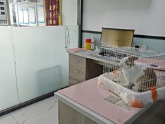 -嘉馨宠物医院·CT影像转诊·心脏科·犬猫全科诊疗中心(下沙大学城院区)