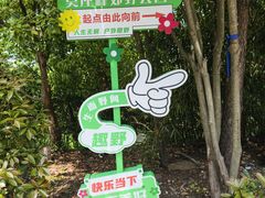 -雨花胜境