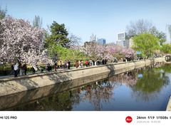 -元大都城垣遗址公园