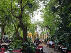 -Fern Forest Cafe