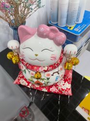 -凡碧诗毛孔收细