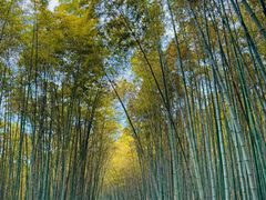 -宝石山