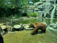 -北京野生动物园