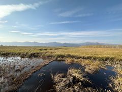 -野鸭湖国家湿地公园