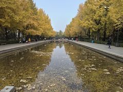-玲珑塔公园
