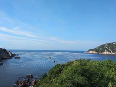 -枸杞岛
