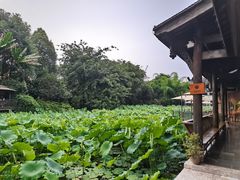 -莫催咖啡